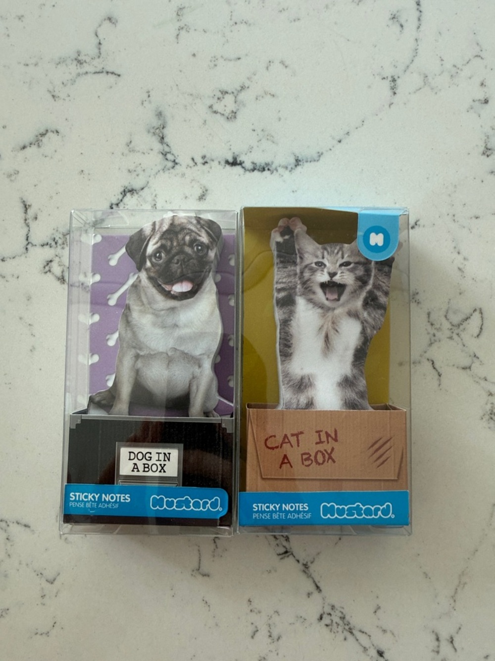 Mustard Cat In A Box + Dog in a Box Sticky Notes Set